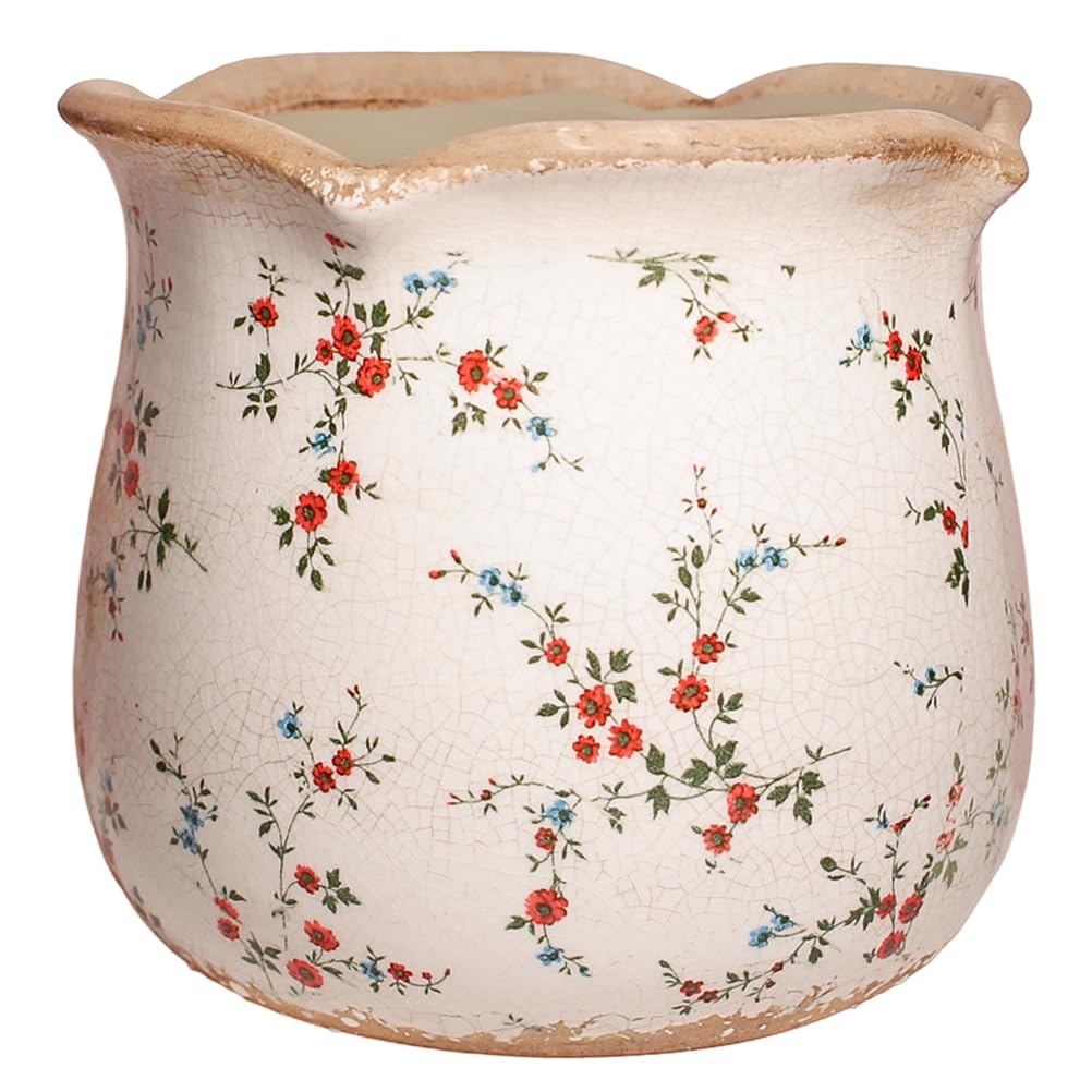 Xiaan Jiaju Ceramic Flower Pot front view with small red blooms