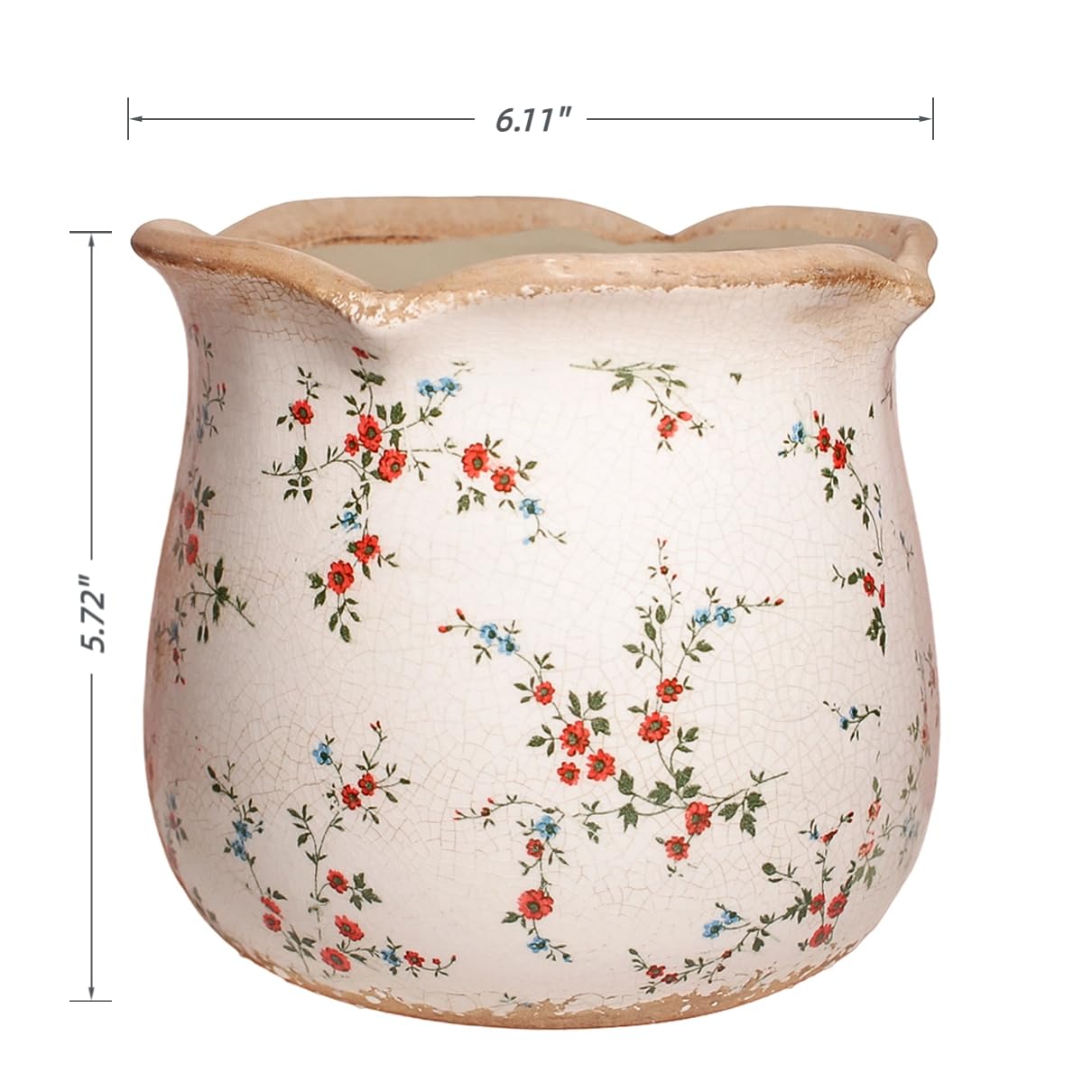 Xiaan Jiaju Ceramic Flower Pot with indoor plants