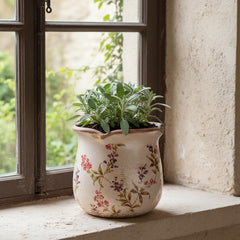 Xiaan Jiaju Ceramic Flower Pot with small indoor plant