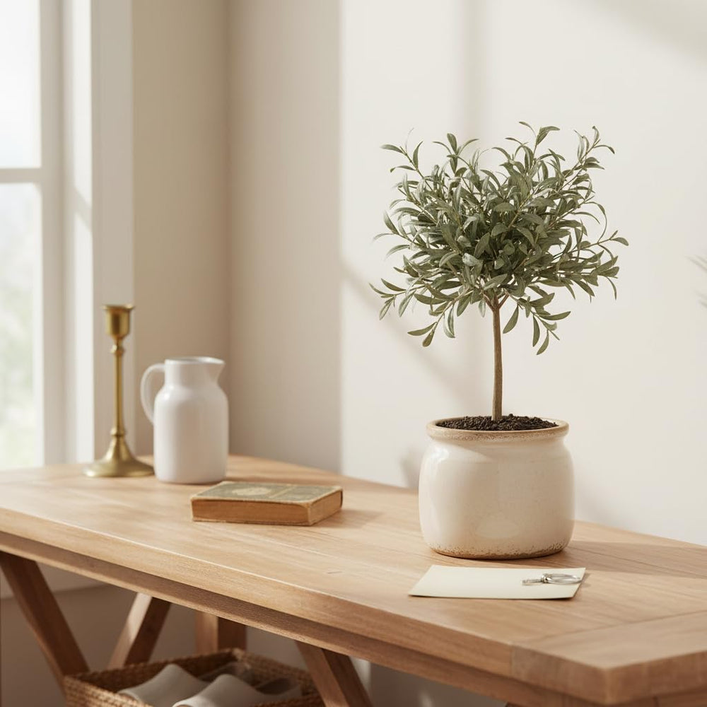 Xiaan Jiaju Ceramic Planter in a vintage-themed room