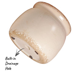 Xiaan Jiaju Ceramic Planter on a kitchen countertop
