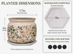 Xiaan Jiaju ceramic planter with ferns displayed indoors