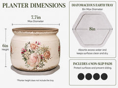 Xiaan Jiaju ceramic planter with ferns inside on a coffee table