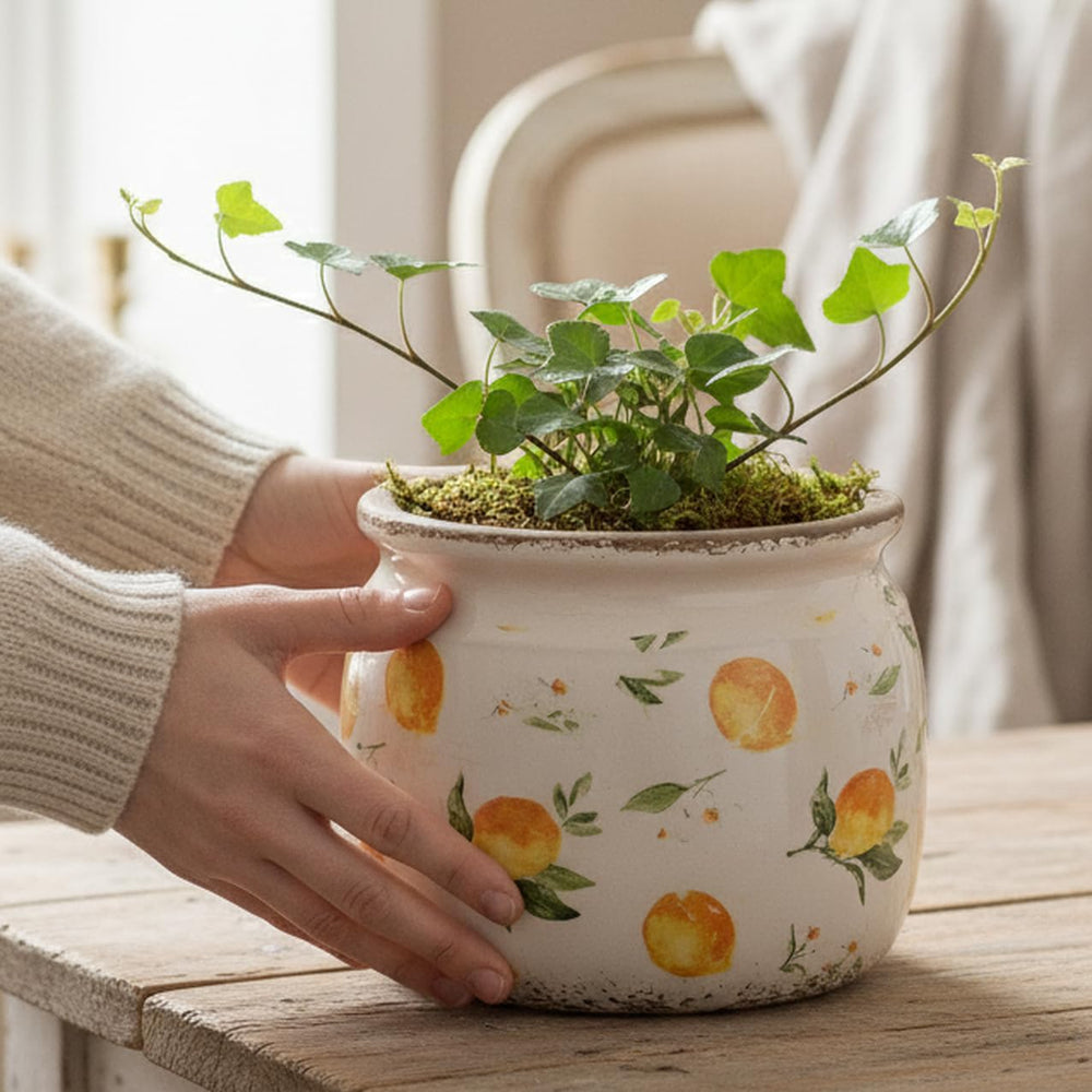 Xiaan Jiaju planter with succulent plants in a stylish setting