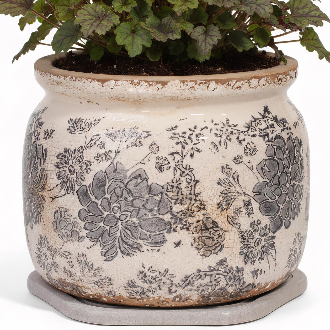 Xiaan Jiaju Rustic Ceramic Plant Pot with Saucer, gray color, front view