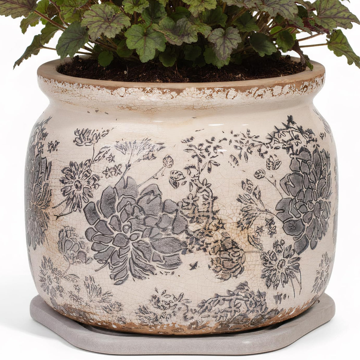Xiaan Jiaju Rustic Ceramic Plant Pot with Saucer, gray color, front view