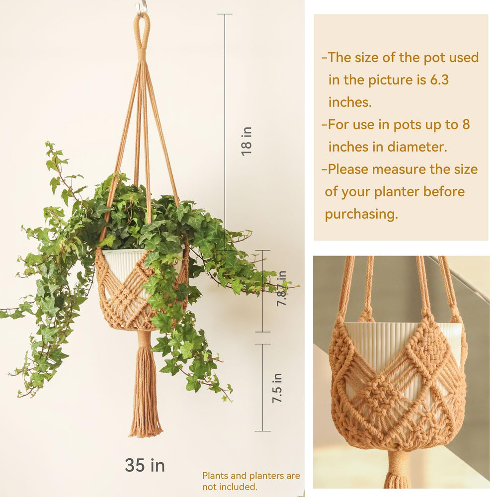 XINBOR hanging planter with 8-inch pot inside