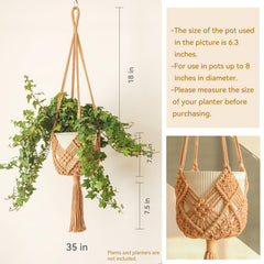XINBOR hanging planter with 8-inch pot inside
