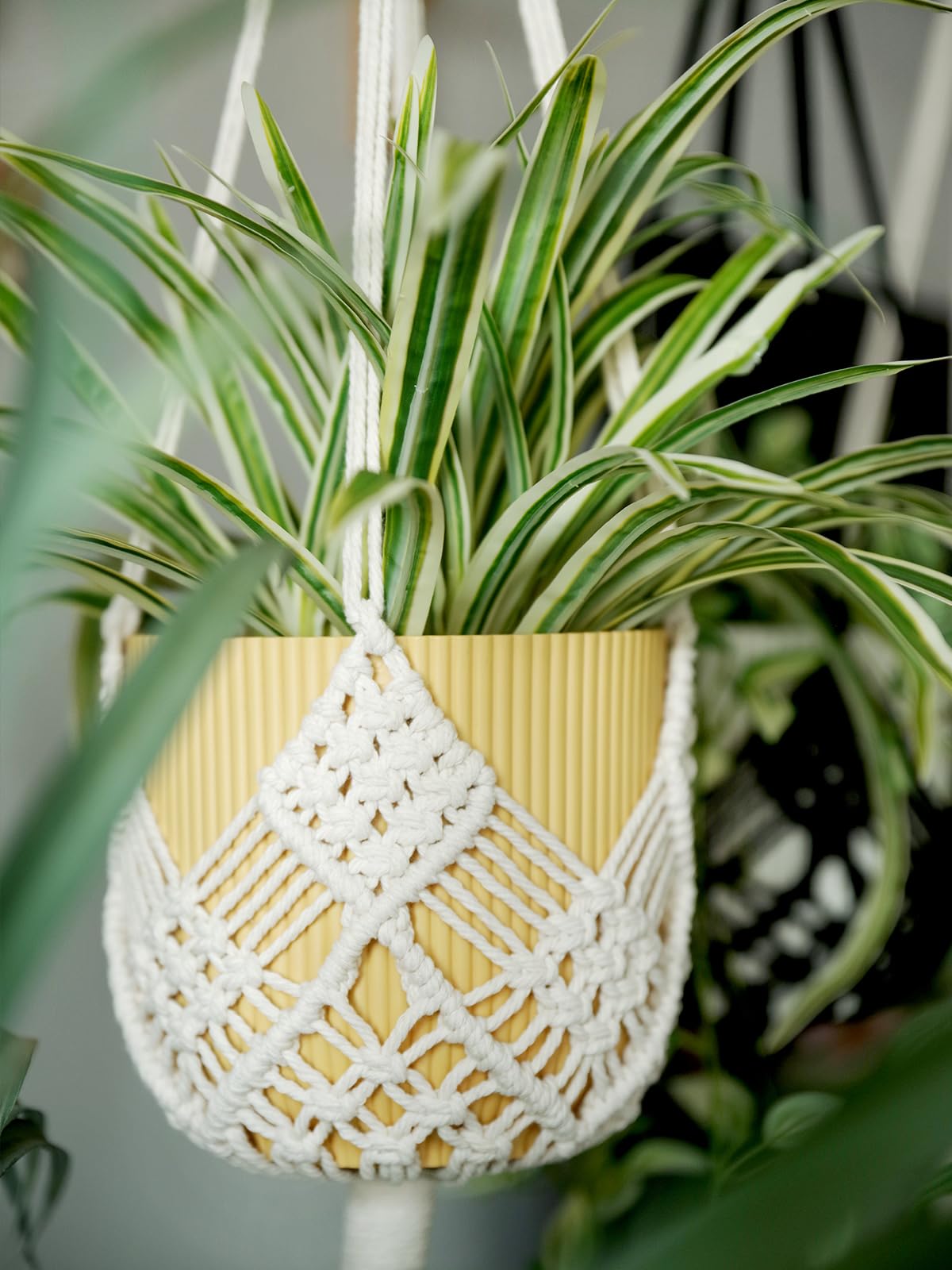 XINBOR macrame holder with various pot styles