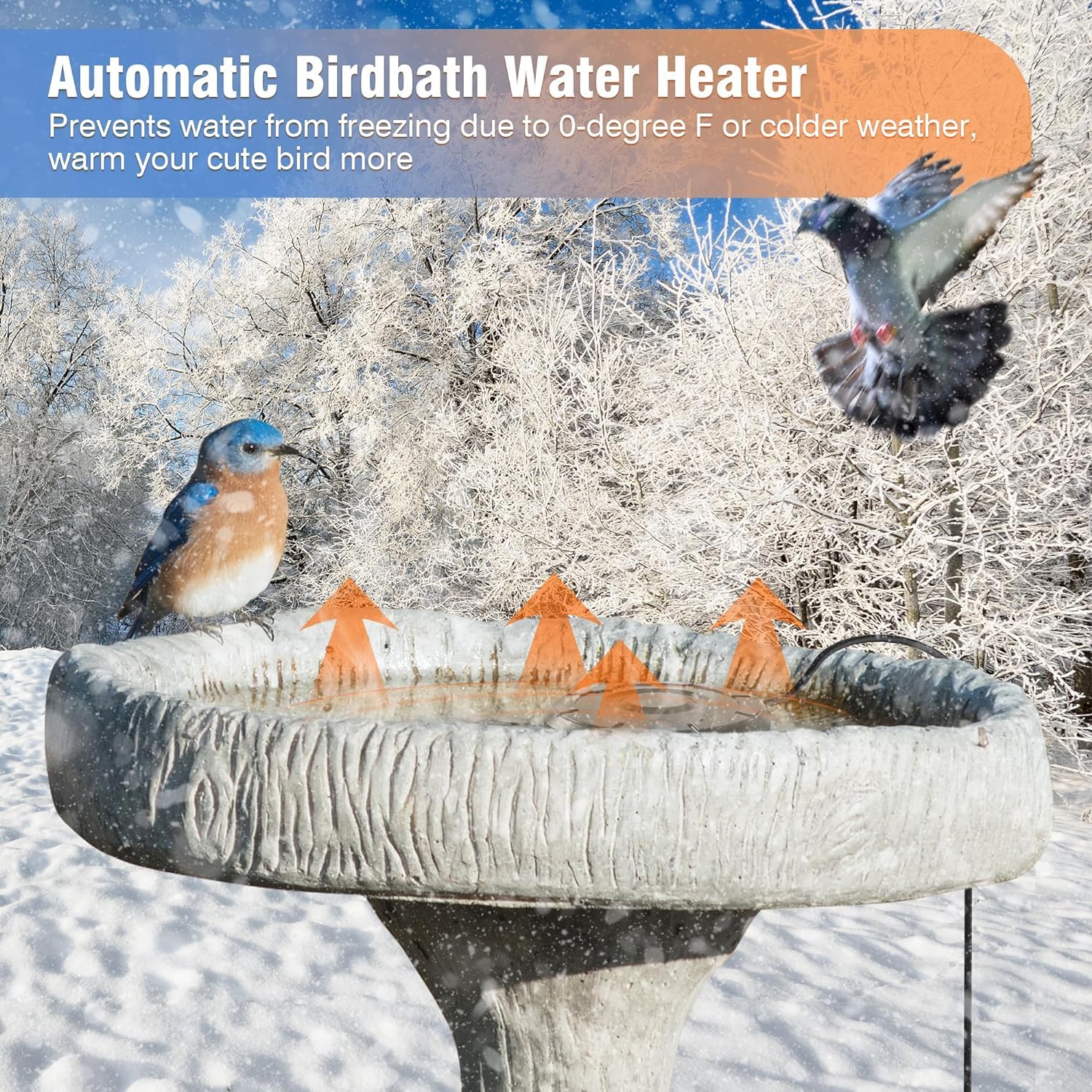 XpenGeny Bird Bath Heater plugged in, ready for use