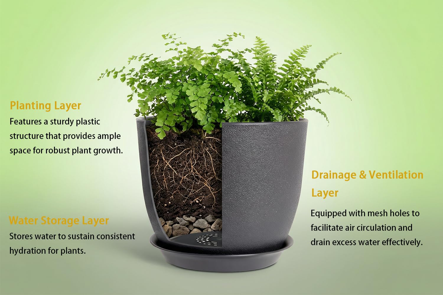 XQSHPDM 8 Inch plant pot with succulent indoors