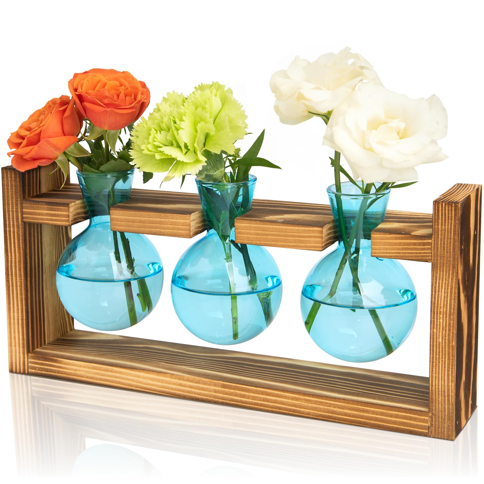 XXXFLOWER Plant Terrarium Jar Propagation Station with 3 blue bulb vases