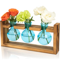 XXXFLOWER Plant Terrarium Jar Propagation Station with 3 blue bulb vases