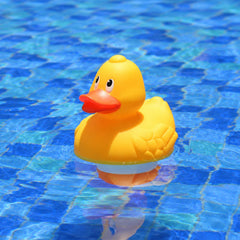 XY-WQ Duck Chlorine Floater in pool