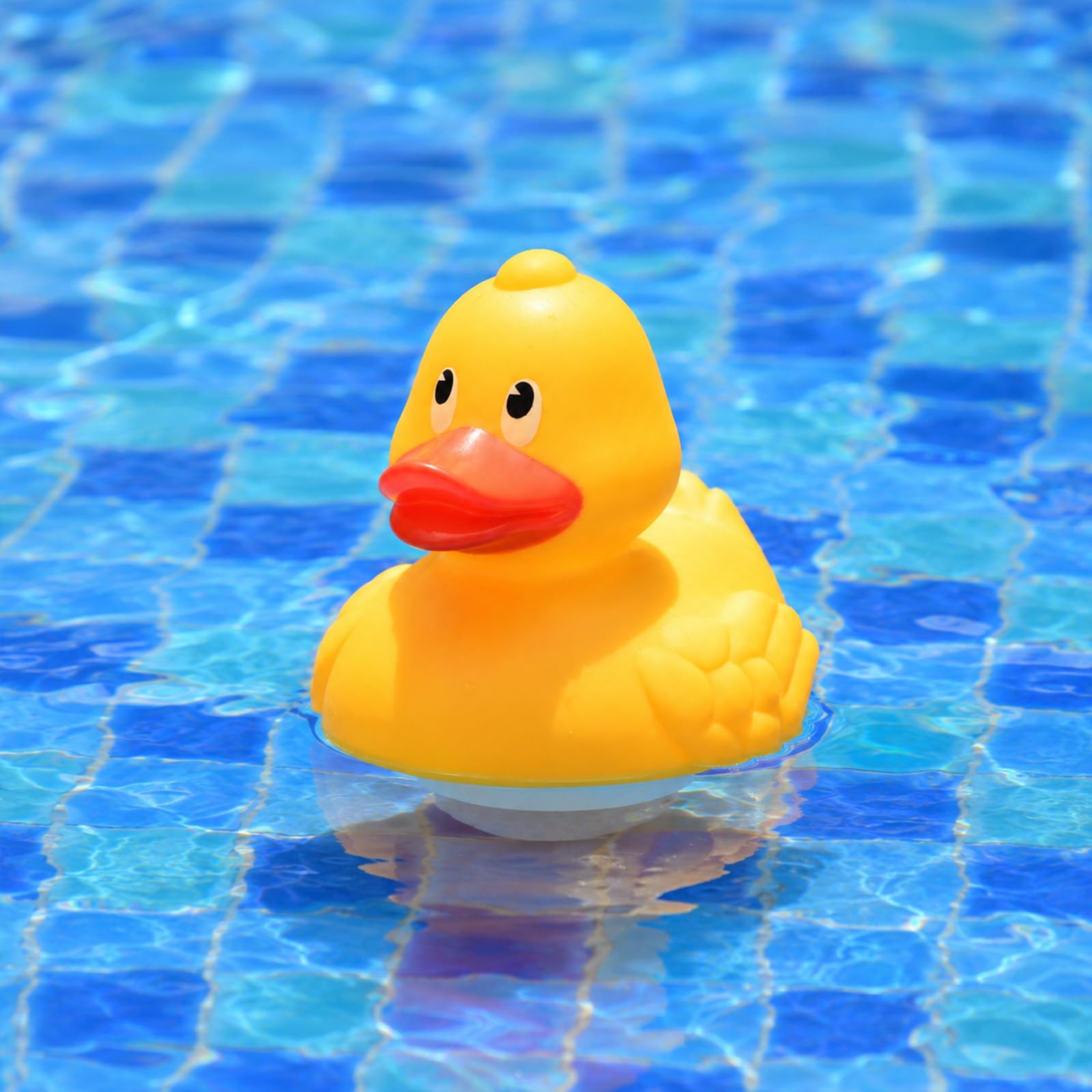 XY-WQ Duck Chlorine Floater with chlorine tablets