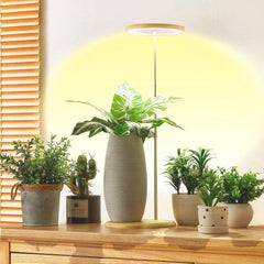 yadoker Bamboo Mini LED Grow Light in use with indoor plants