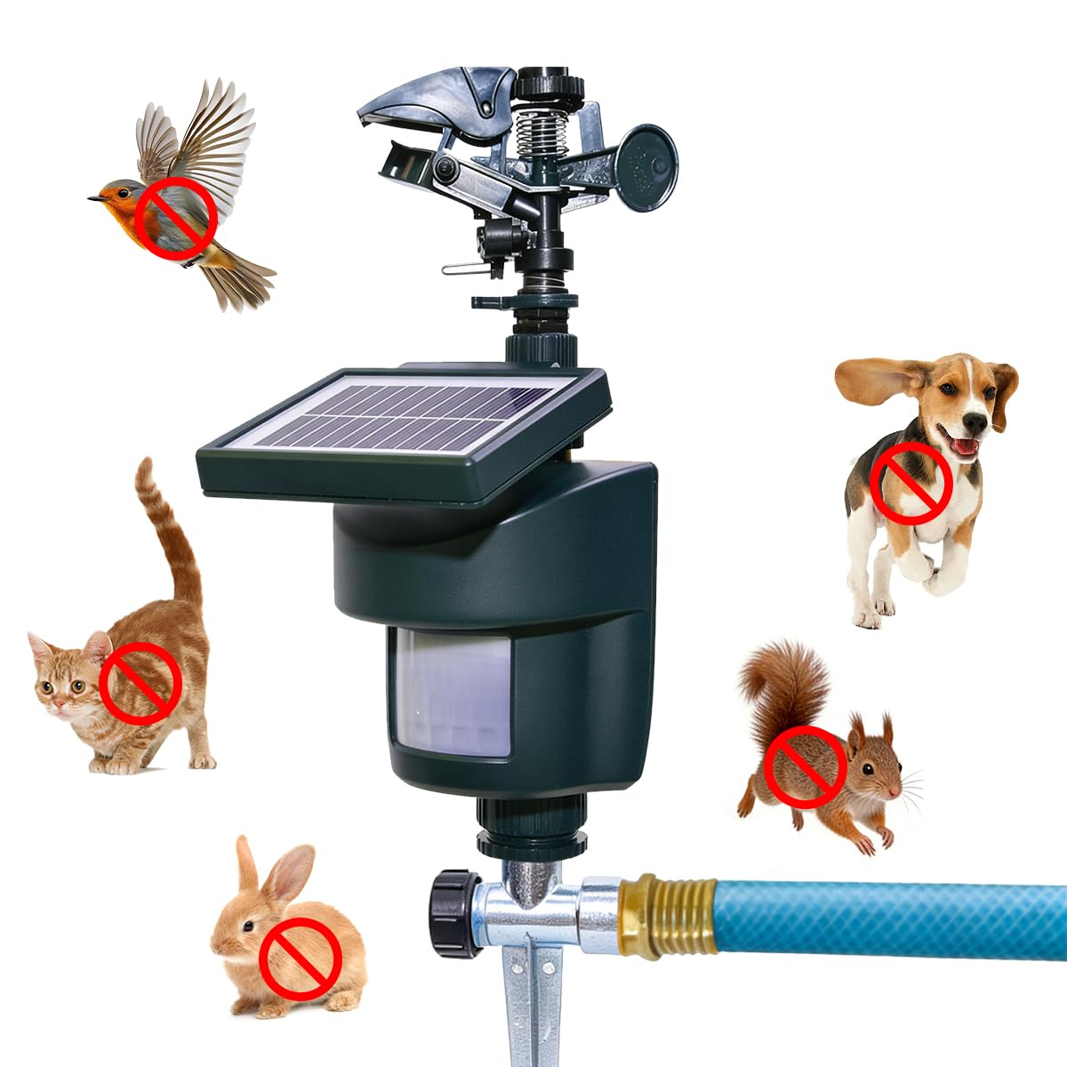Yardeen solar motion activated sprinkler front view in dark green