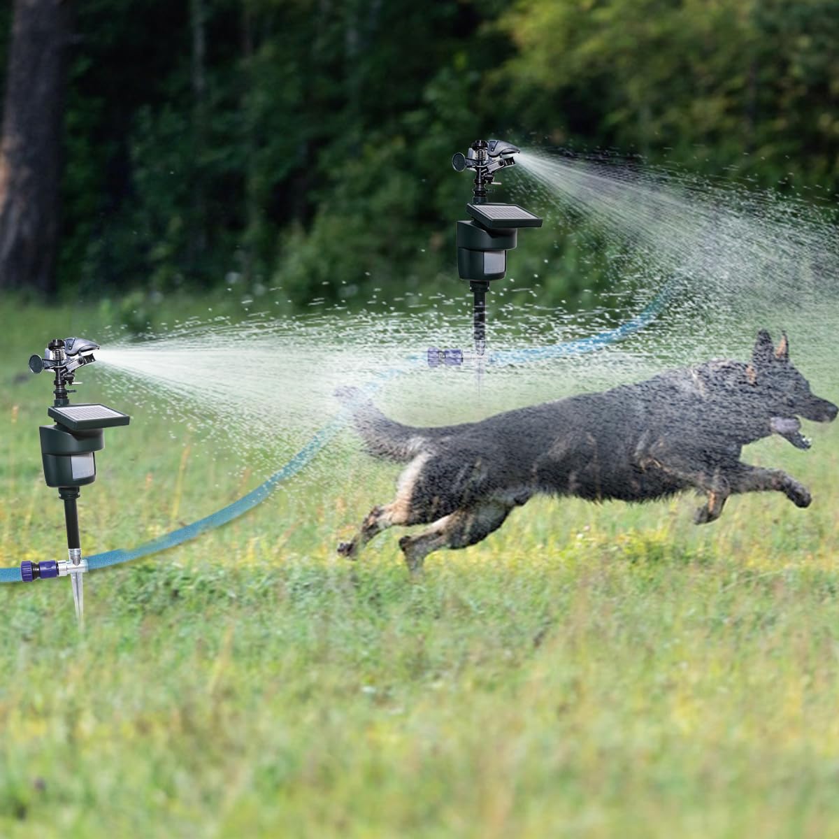 Yardeen solar motion activated sprinkler with adjustable sensor