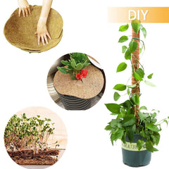 Yarrdfir Coconut Liner Roll in use as a planter liner