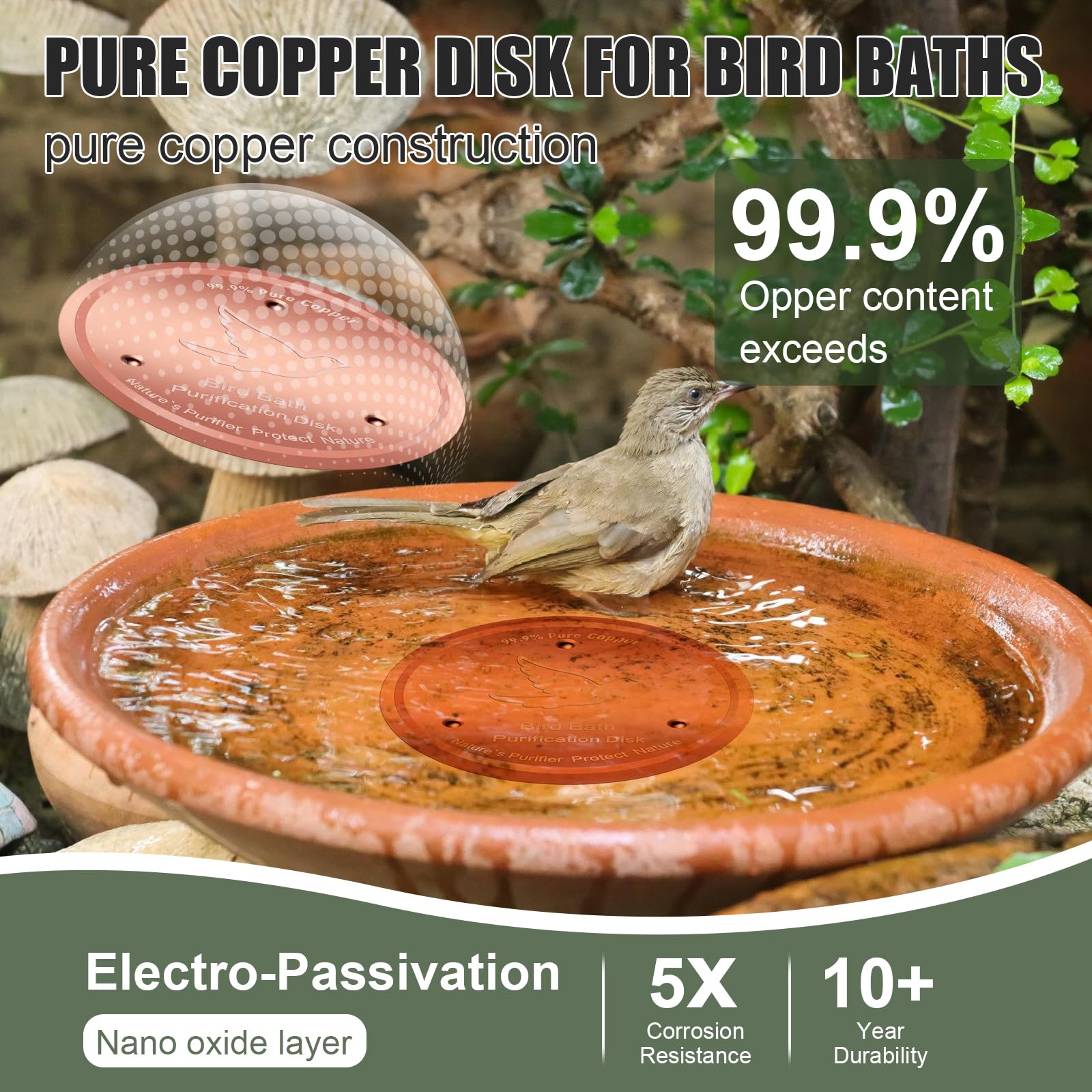 Yayiog Bird Bath Purification Disk in outdoor birdbath