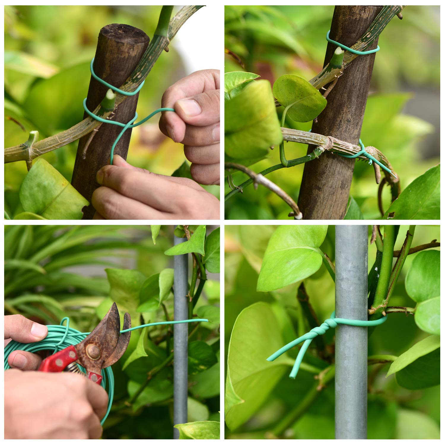 YDSL plant ties demonstrating flexibility