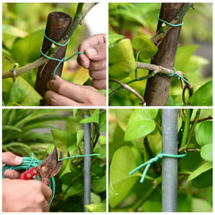YDSL plant ties demonstrating flexibility
