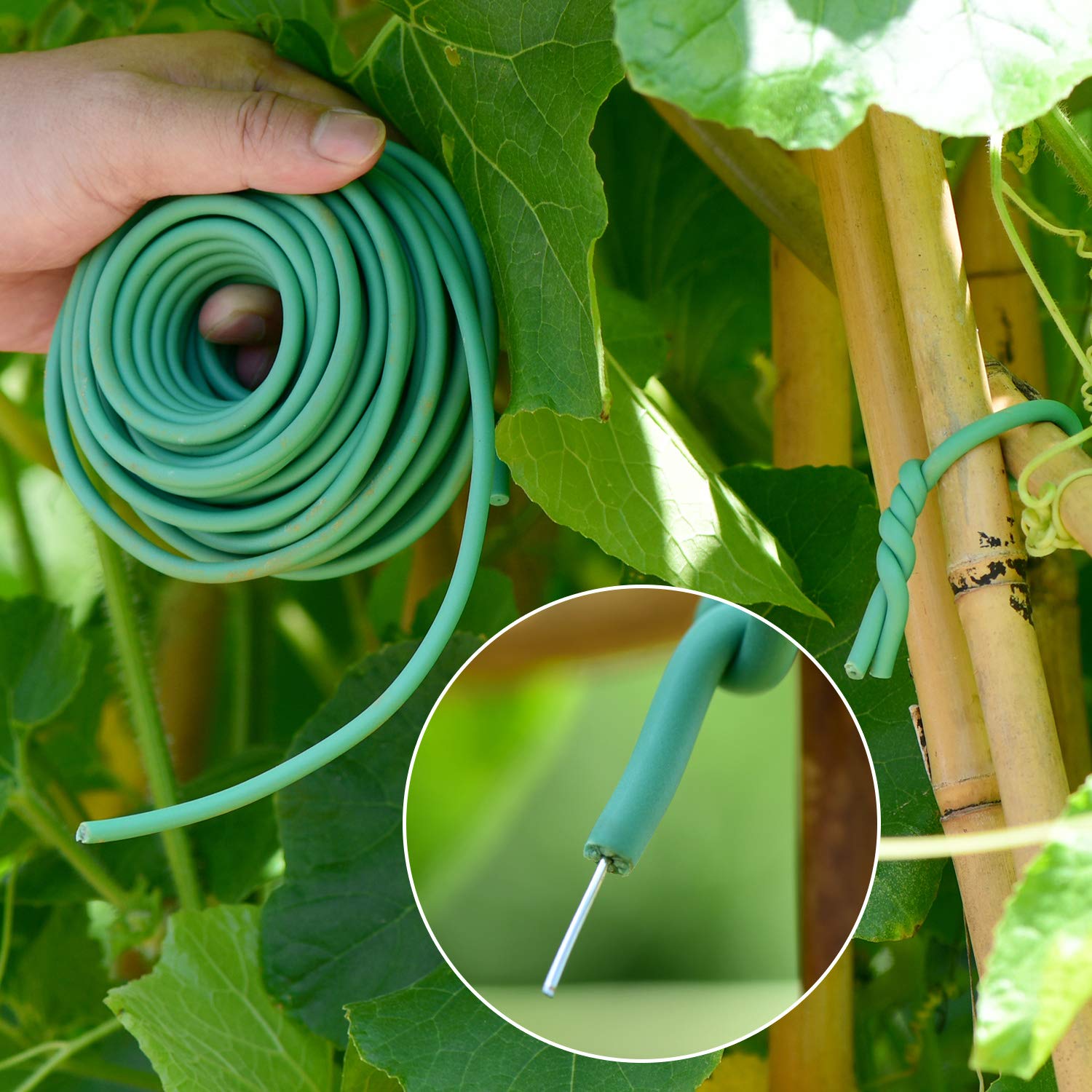 YDSL Soft Plant Tie demonstrating support for climbing plants