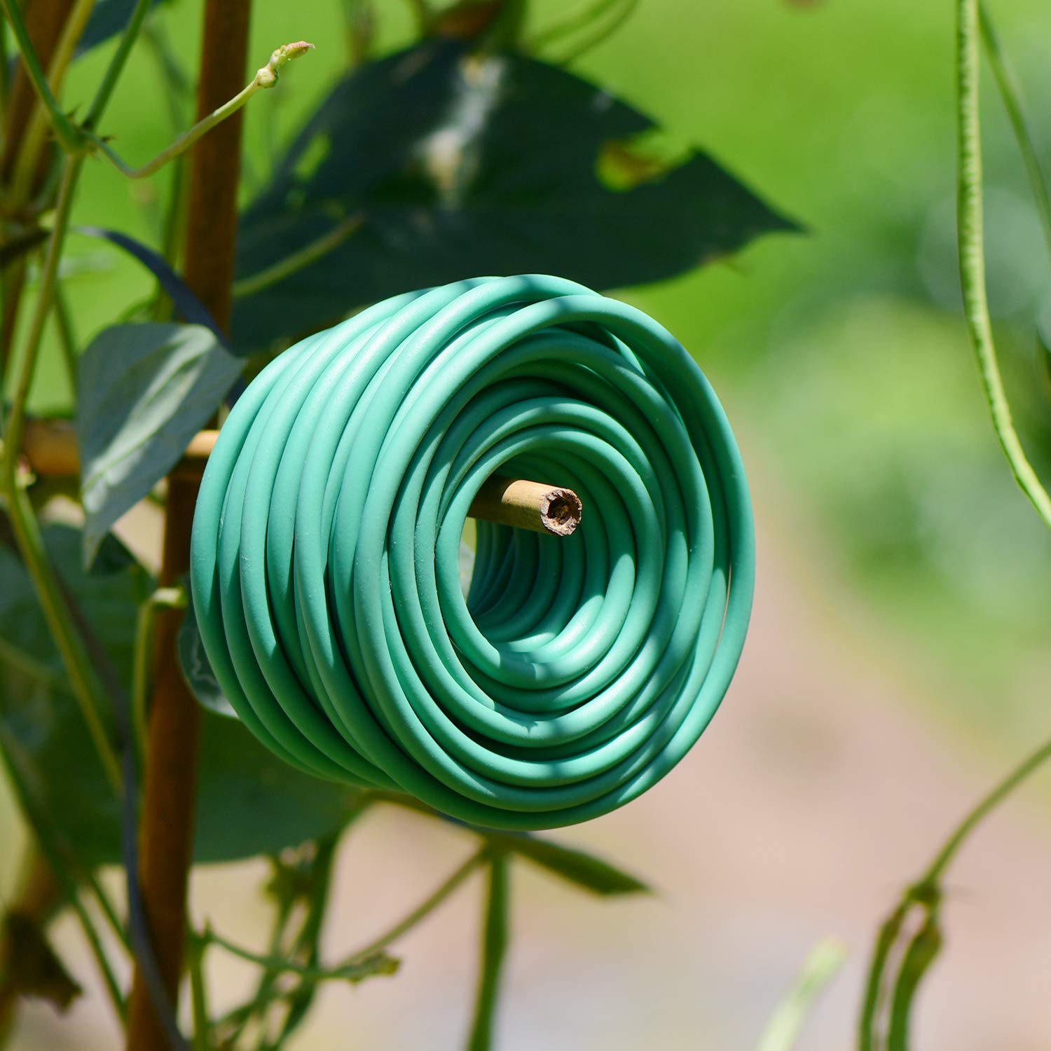YDSL Soft Plant Tie in use supporting tomato plants