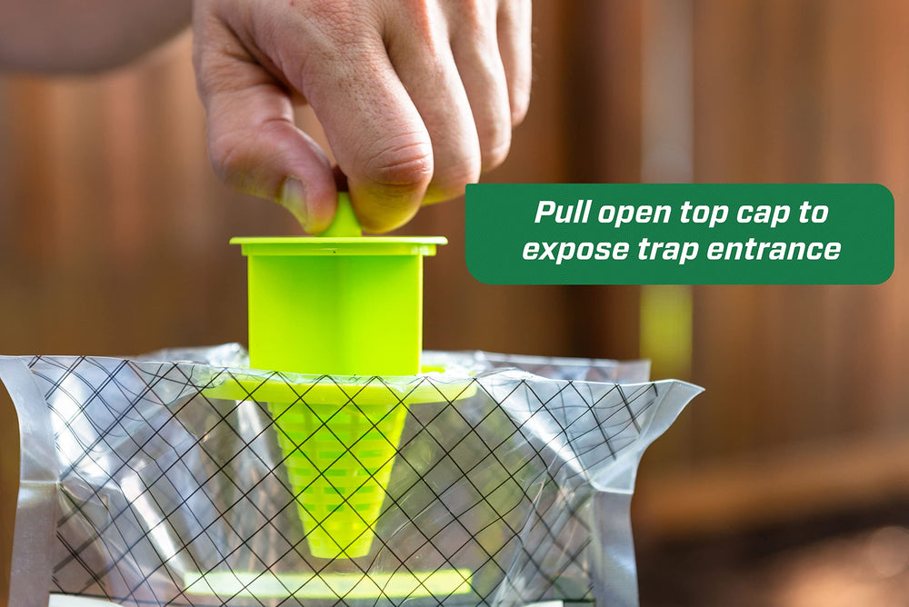 Yellowjacket Trap attractant powder close-up