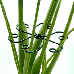 Yeomant 4PCS Iron Monstera Support Stakes front view