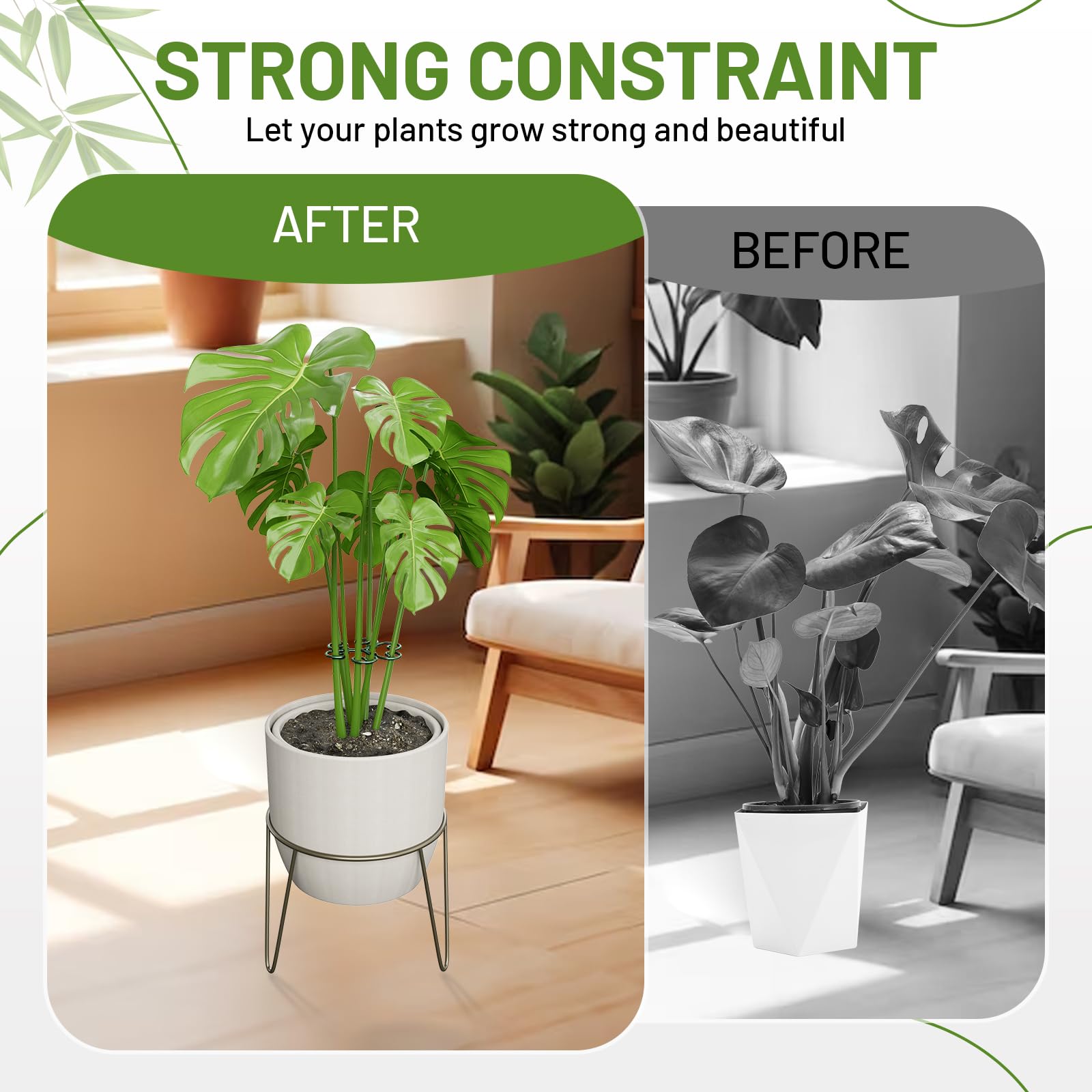 Yeomant 4PCS Iron Monstera Support Stakes set on a table
