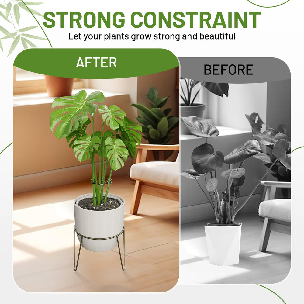 Yeomant 4PCS Iron Monstera Support Stakes set on a table