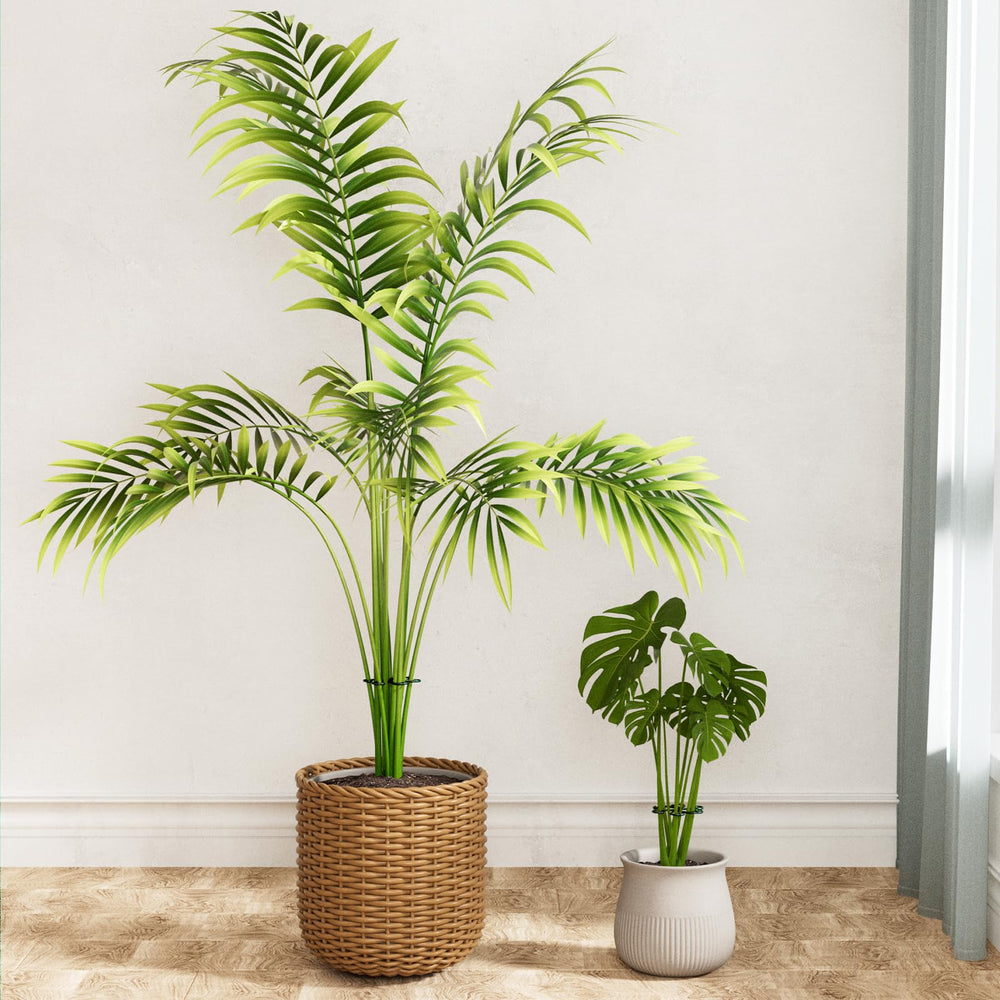 Yeomant Monstera Support Stakes packaging
