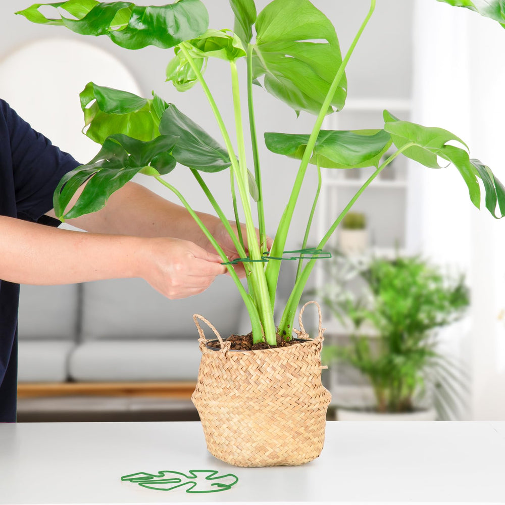 Yeomant plant stakes displayed against a white background
