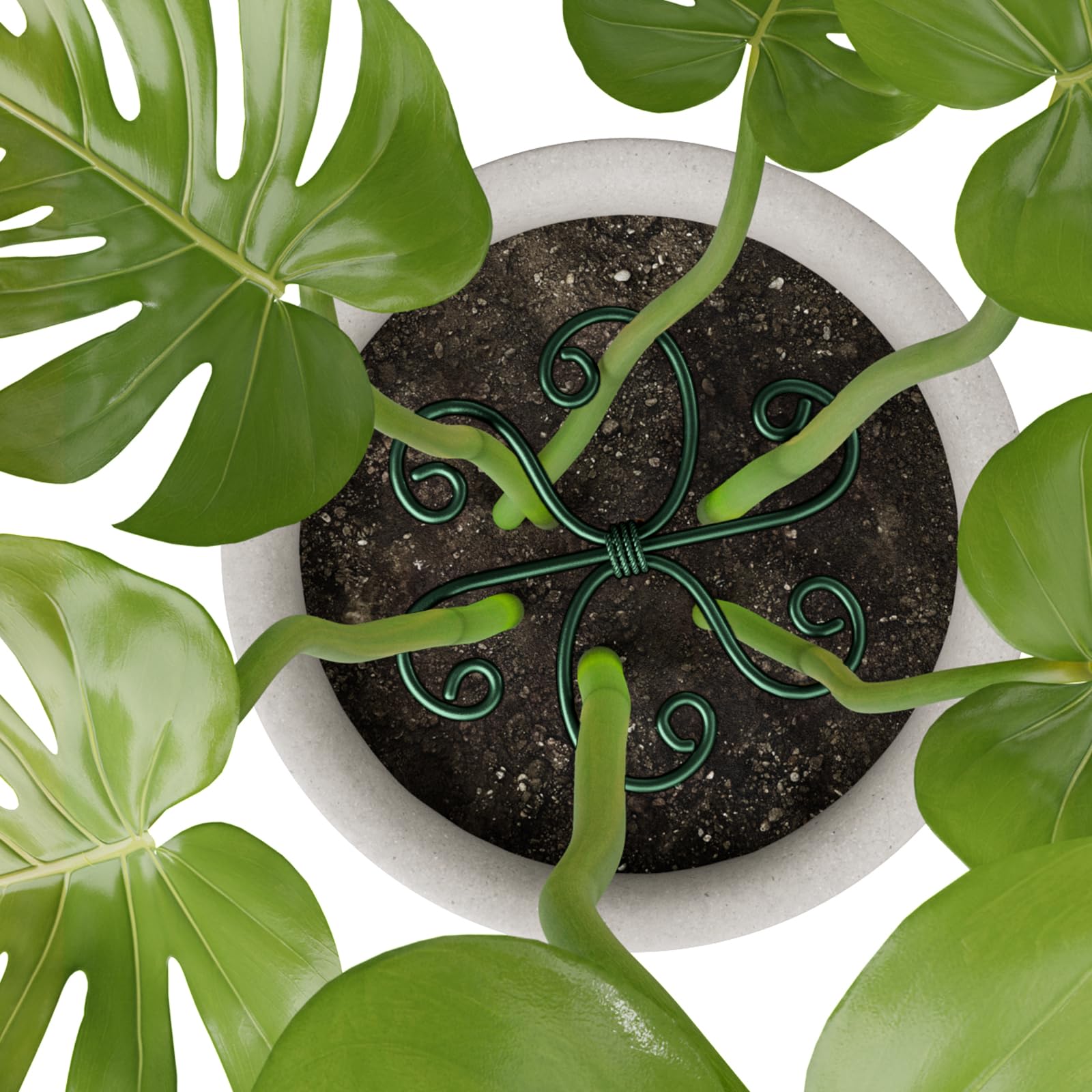 Yeomant plant support stakes next to a healthy plant