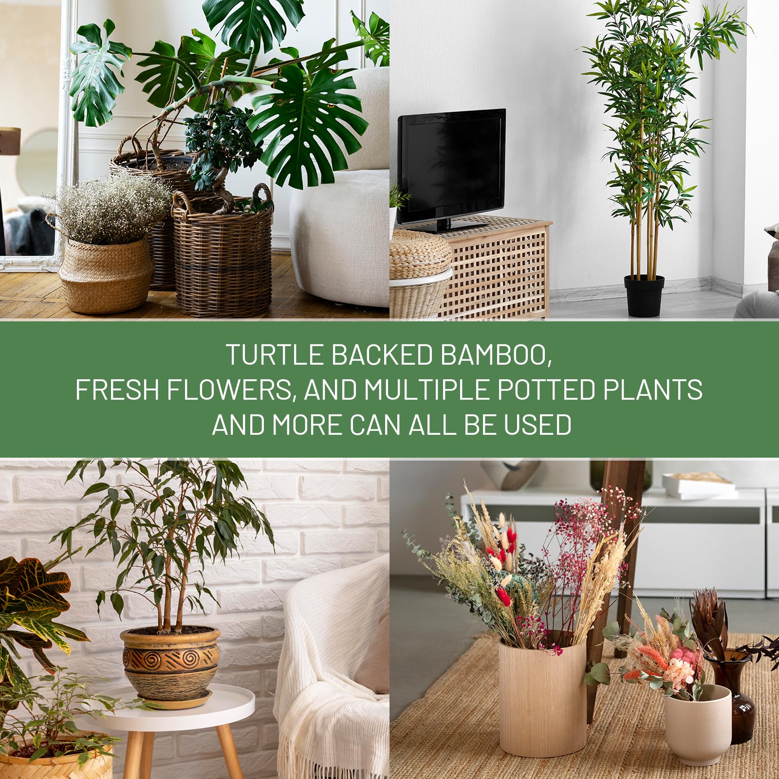 Yeomant plant support stakes securely holding a Monstera plant