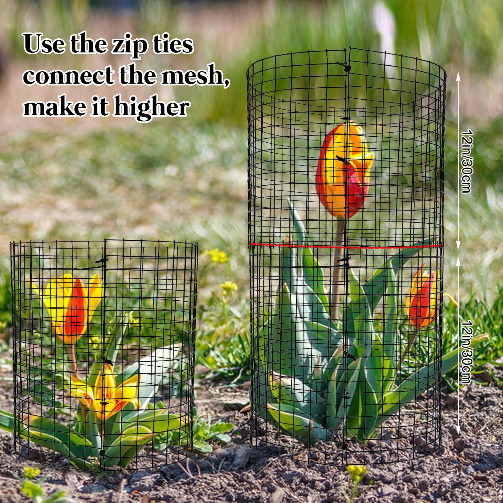 YEXEXINM metal plant cages protecting flowers from rabbits