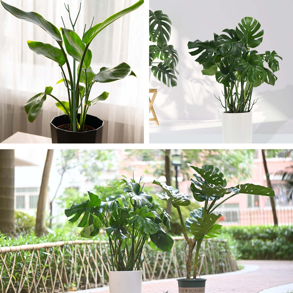Yhtpouqe 39.37-inch plant stakes in garden with climbing vines