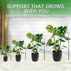 Yhtpouqe extendable plant stakes in a vegetable garden with tomatoes