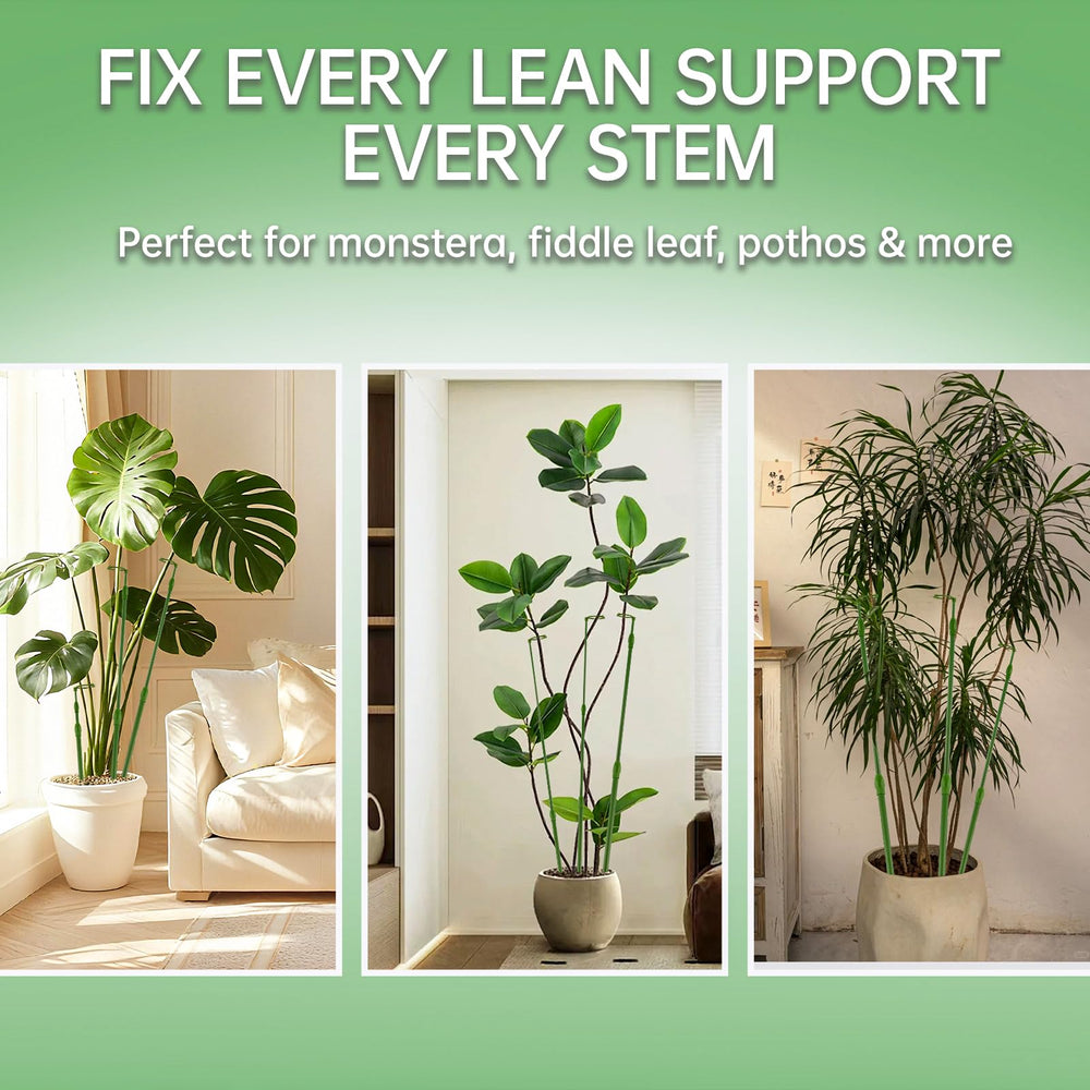Yhtpouqe plant stakes being used for climbing orchids