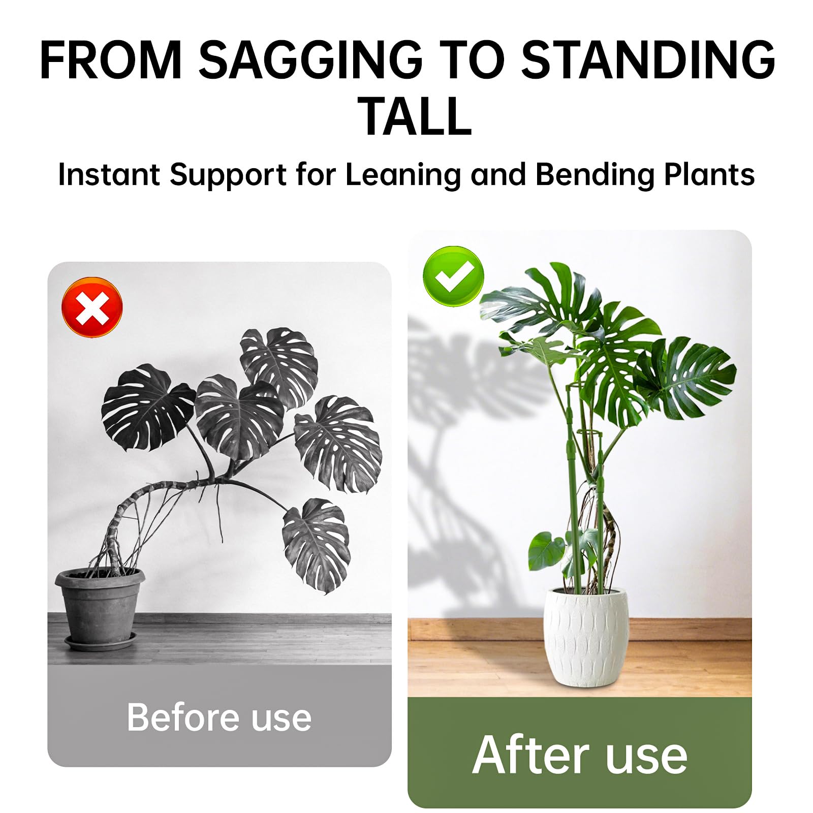 Yhtpouqe plant stakes supporting a Monstera plant indoors