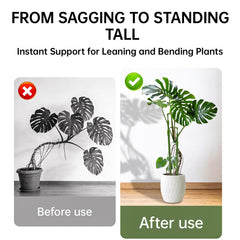 Yhtpouqe plant stakes supporting a Monstera plant indoors