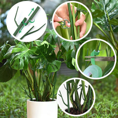 Yhtpouqe plant support stakes assembled together