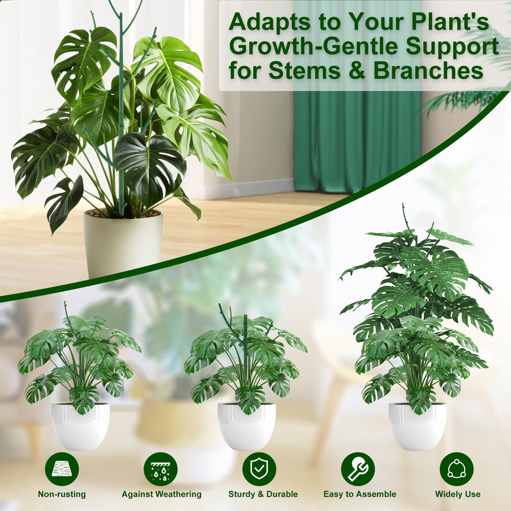 Yhtpouqe plant support stakes in a garden supporting climbing plants