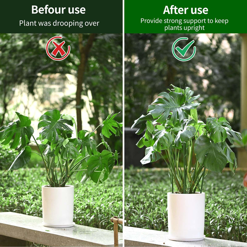 Yhtpouqe plant support stakes in outdoor garden setting