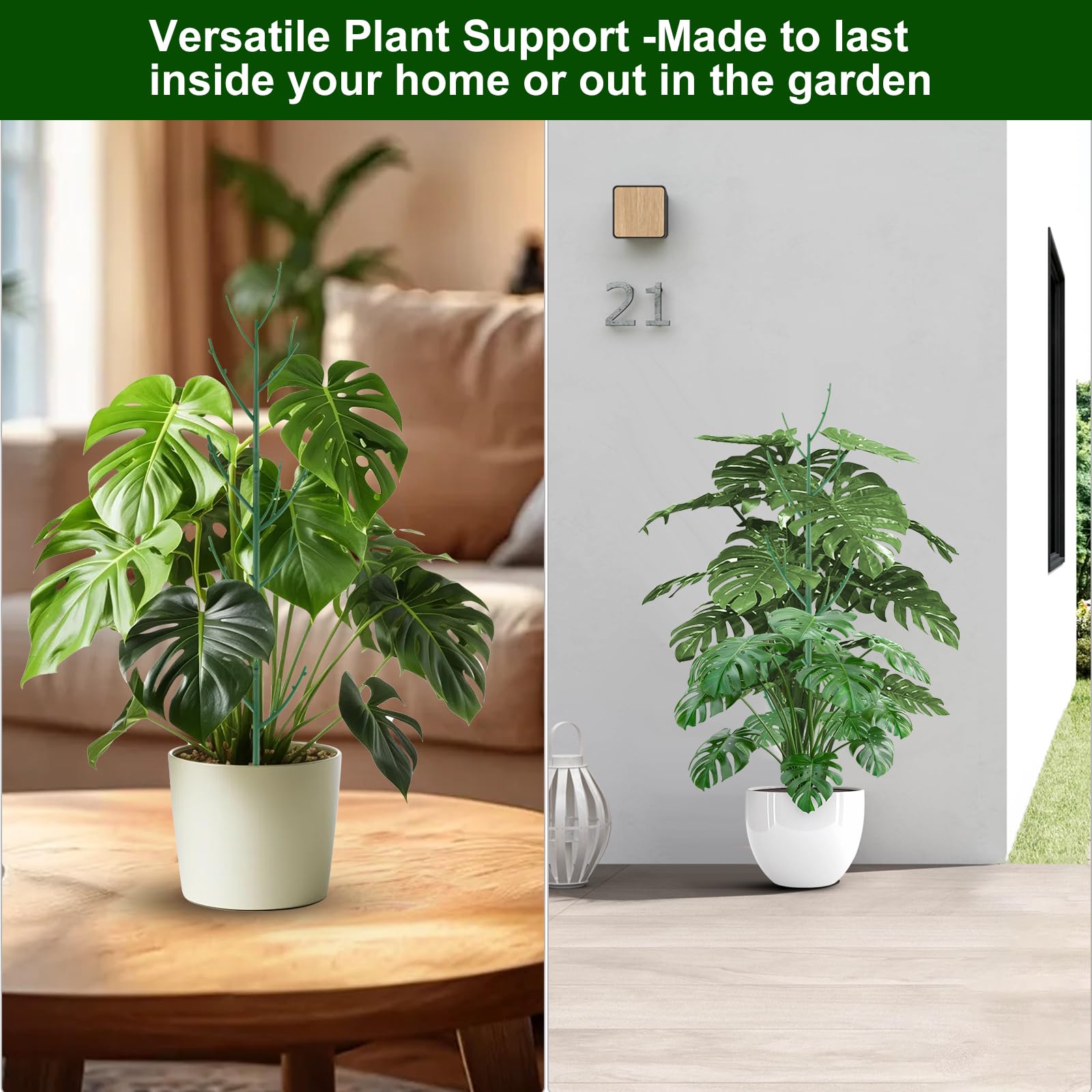 Yhtpouqe plant support stakes with climbing plants like pothos