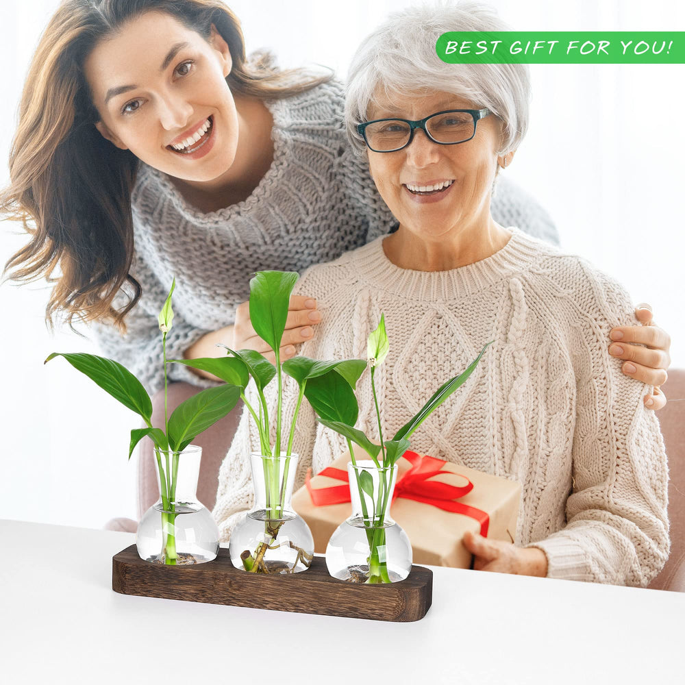 YIBOT Plant Propagation Station displayed on a coffee table
