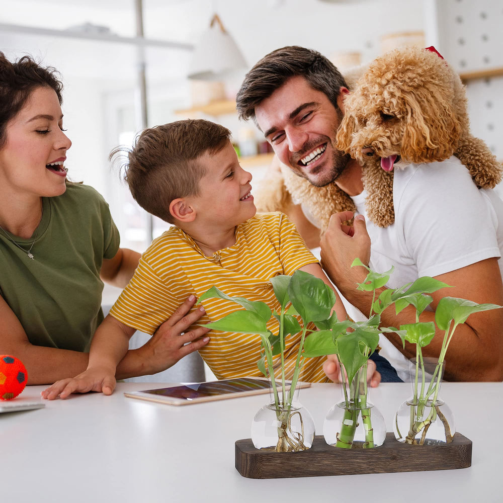YIBOT Plant Propagation Station in a bright living room