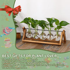 YIBOT Plant Propagation Station with plants in glass vases