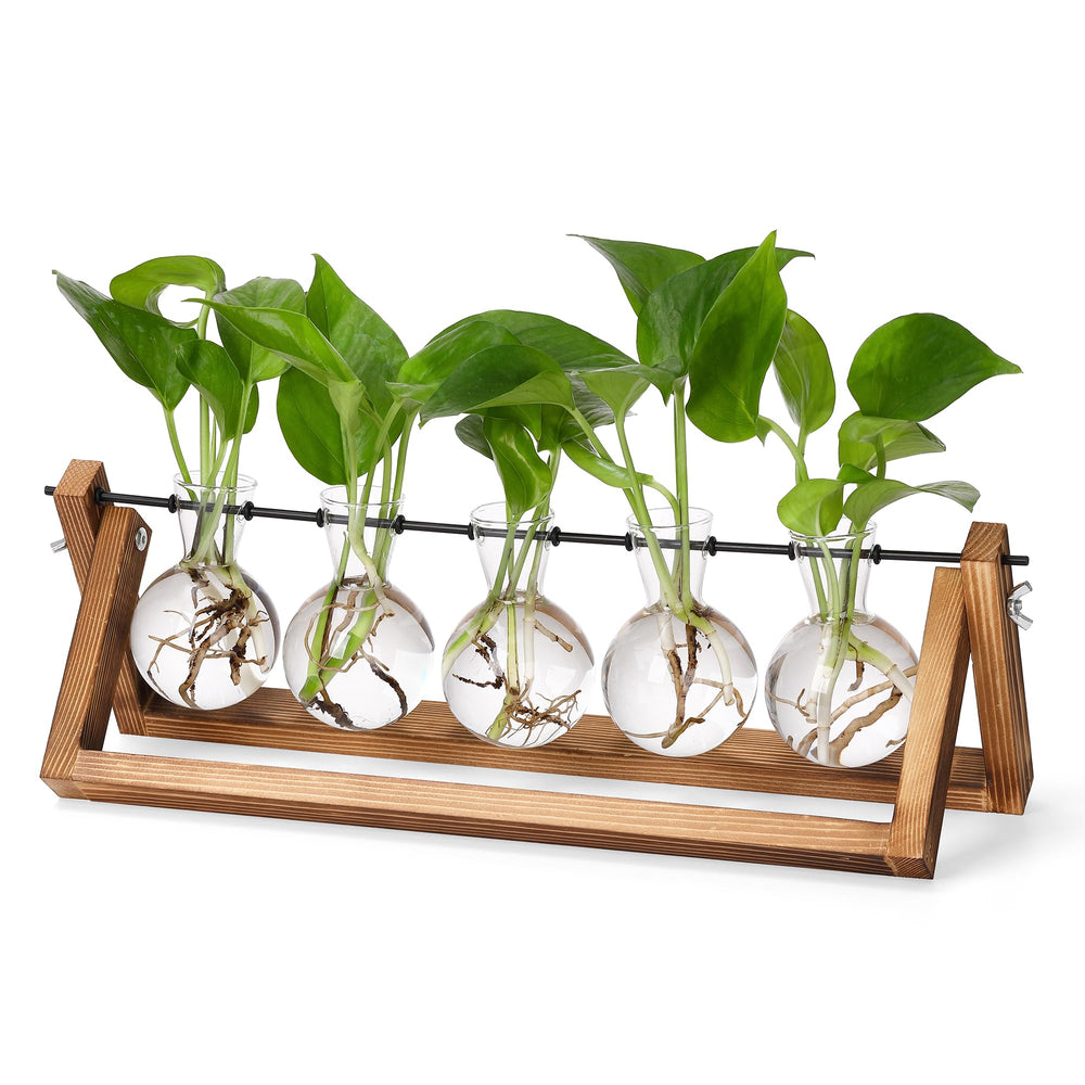 YIBOT Plant Propagation Station wooden stand with 5 glass bulb vases